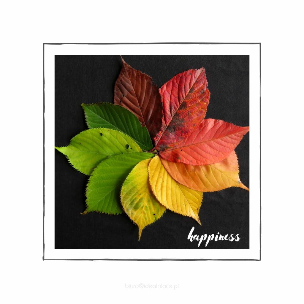 Plakat kolorowe liście
